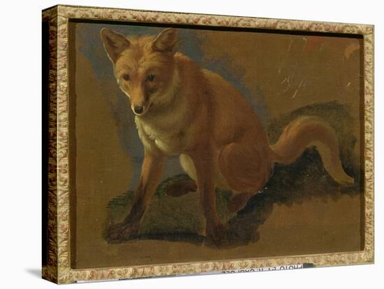 Study of a Fox (Oil on Panel)-Jacques-Laurent Agasse-Premier Image Canvas