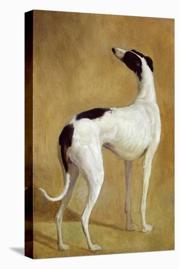 Study of a Greyhound-Jacques-Laurent Agasse-Premier Image Canvas