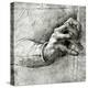 Study of a Hand-Leonardo da Vinci-Premier Image Canvas