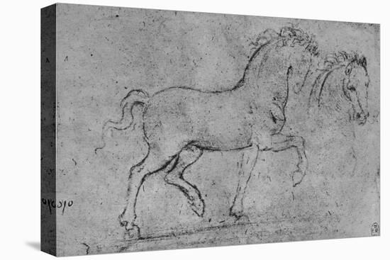 'Study of a Horse and of a Horse's Head', c1480 (1945)-Leonardo Da Vinci-Premier Image Canvas