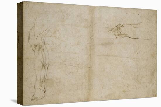 Study of a Human Leg, 16th Century-Michelangelo Buonarroti-Premier Image Canvas