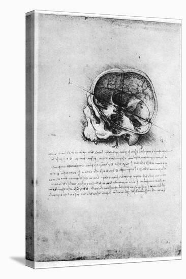 Study of a Human Skull, Late 15th or Early 16th Century-Leonardo da Vinci-Premier Image Canvas