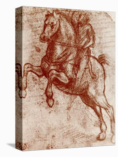 Study of a Knight, 1913-Leonardo da Vinci-Premier Image Canvas