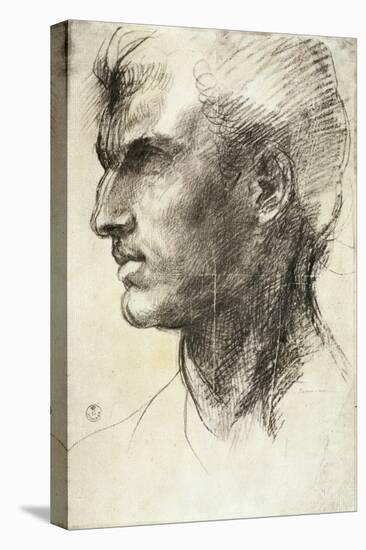 Study of a Male Head-Andrea del Sarto-Premier Image Canvas