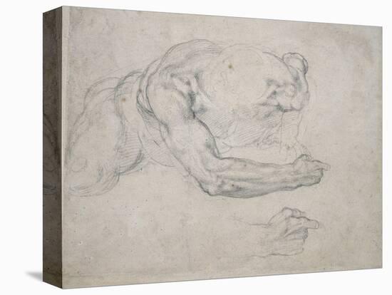 Study of a Man Rising from the Ground-Michelangelo Buonarroti-Premier Image Canvas