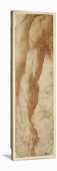 Study of a Man's Right Arm, His Hand Holding a Stick-Parmigianino-Premier Image Canvas