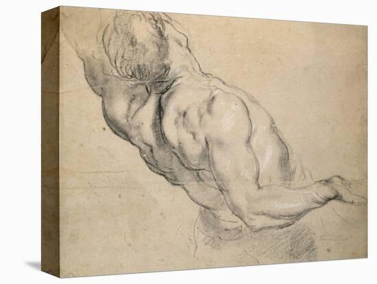 Study of a Nude Male Torso-Peter Paul Rubens-Premier Image Canvas