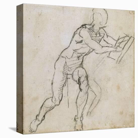 Study of a Seated Male Nude, C.1511-Michelangelo Buonarroti-Premier Image Canvas