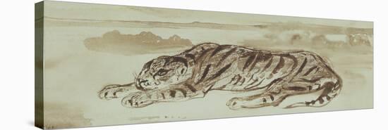 Study of a Tiger, 1839 (Ink & Wash on Paper)-Ferdinand Victor Eugene Delacroix-Premier Image Canvas