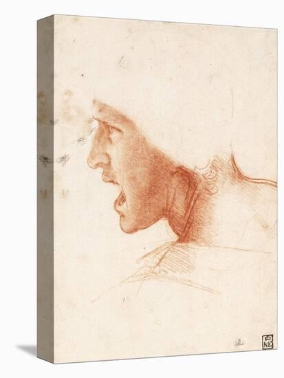 Study of a Warrior's Head for the Battle of Anghiari by Leonardo Da Vinci-Leonardo Da Vinci-Premier Image Canvas