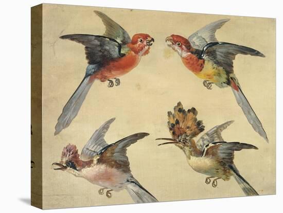 Study of Birds: Two Parrots, a Hoopoe and a Jay-Alexandre-Francois Desportes-Premier Image Canvas