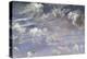 Study of Cirrus Clouds-John Constable-Premier Image Canvas