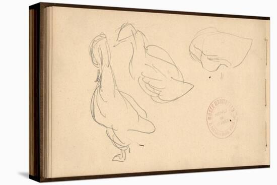 Study of Ducks (Pencil on Paper)-Claude Monet-Premier Image Canvas