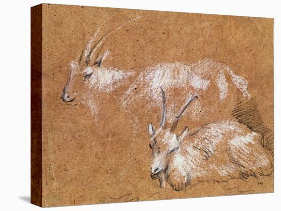 Study of Goats-Thomas Gainsborough-Premier Image Canvas