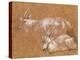 Study of Goats-Thomas Gainsborough-Premier Image Canvas