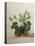 Study of Gourds and Flowers-Pieter Withoos-Premier Image Canvas