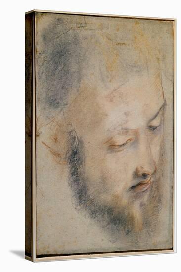 Study of Head (Charcoal on Paper, 1580-1583)-Federico Fiori Barocci or Baroccio-Premier Image Canvas
