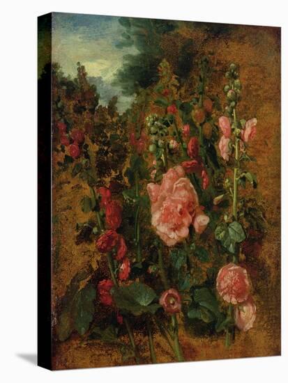 Study of Hollyhocks, C.1826 (Oil on Board)-John Constable-Premier Image Canvas