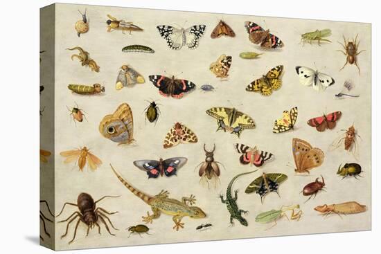 Study of Insects-Jan Van, The Elder Kessel-Premier Image Canvas