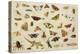 Study of Insects-Jan Van, The Elder Kessel-Premier Image Canvas