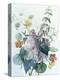 Study of Lilac, Capucine and Fuchsia-Pierre-Joseph Redouté-Premier Image Canvas