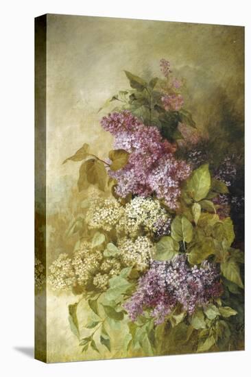 Study of Lilac-Claude Massman-Premier Image Canvas