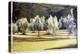 Study of Olive Trees, no.2-Helen J. Vaughn-Premier Image Canvas