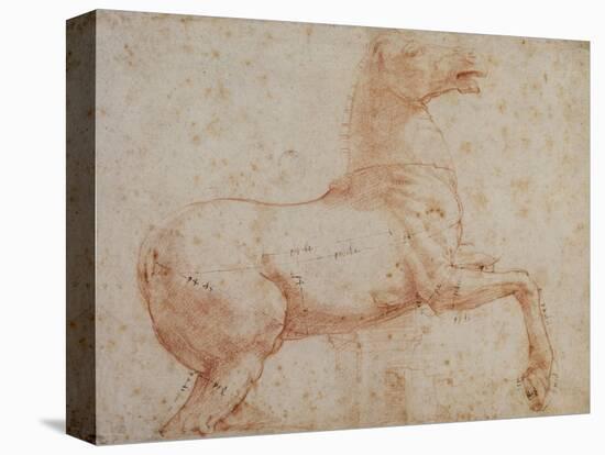 Study of One of the Quirinal Marble Horses, C.1515-17-Raphael-Premier Image Canvas