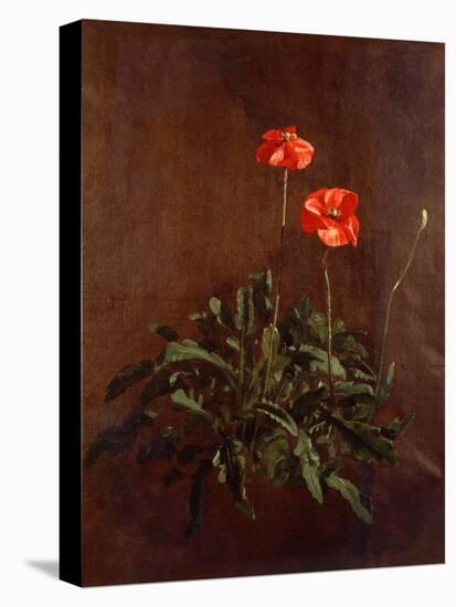 Study of Poppies-John Constable-Premier Image Canvas
