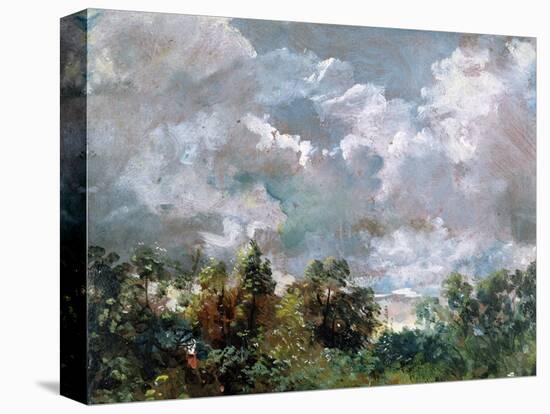 Study of Sky and Trees-John Constable-Premier Image Canvas
