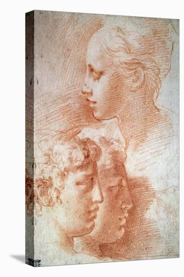 Study of the Heads, C1527-Parmigianino-Premier Image Canvas