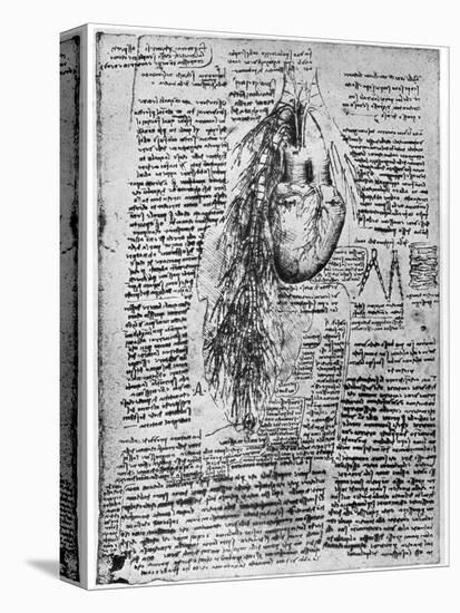 Study of the Heart and the Bronchial Arteries, Late 15th or Early 16th Century-Leonardo da Vinci-Premier Image Canvas