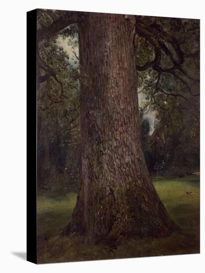 Study of the Trunk of an Elm Tree, circa 1821-John Constable-Premier Image Canvas