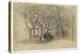 Study of Trees, Clovelly Park, 1834-Samuel Palmer-Premier Image Canvas