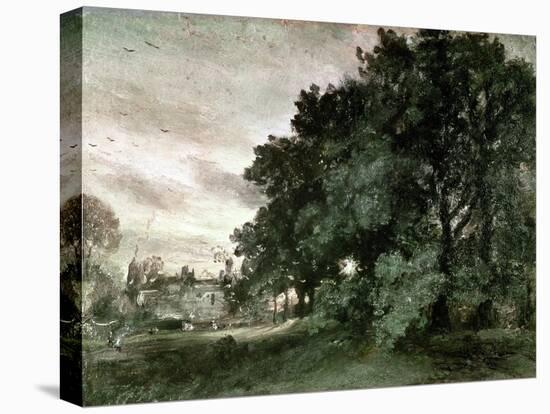 Study of Trees (Oil on Paper)-John Constable-Premier Image Canvas