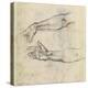 Study of Two Arms for 'The Drunkenness of Noah' in the Sistine Chapel-Michelangelo Buonarroti-Premier Image Canvas