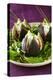 Stuffed Figs on Rocket Salad-Anthony Lanneretonne-Premier Image Canvas