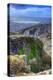 Stunning Landscape across Top of Ancient Mountain Gorge with Beautiful Colors and Detail-Veneratio-Premier Image Canvas