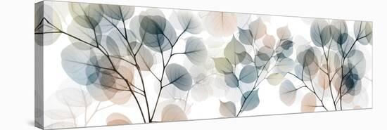 Stunning Recognition 1-Albert Koetsier-Stretched Canvas