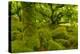 Stunted Oak Woodland Covered in Moss, Wistman's Wood, Devon, UK-Ben Hall-Premier Image Canvas