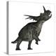 Styracosaurus Dinosaur Roaring-Stocktrek Images-Stretched Canvas