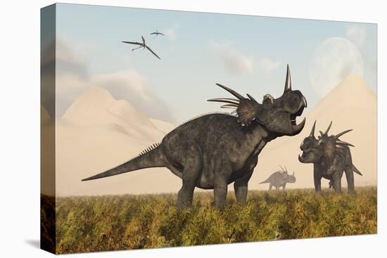 Styracosaurus Dinosaurs Calling Out to Each Other-Stocktrek Images-Stretched Canvas