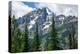 Subalpine fir, Grand Tetons, Grand Teton National Park, Wyoming, USA-Roddy Scheer-Premier Image Canvas