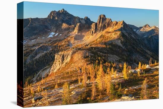 Subalpine Larches in golden autumn color at Cutthroat Pass. North Cascades, Washington State-Alan Majchrowicz-Premier Image Canvas