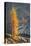 Subalpine Larches in golden autumn color. Stiletto Lake, North Cascades NP, Washington State-Alan Majchrowicz-Premier Image Canvas