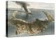 Submarine Volcano - the Island of Santorini, During the Eruption of 1866-English School-Premier Image Canvas