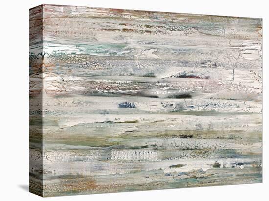 Subtle Changes-Alicia Dunn-Stretched Canvas