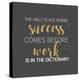 Success Comes Before Work-Bella Dos Santos-Stretched Canvas