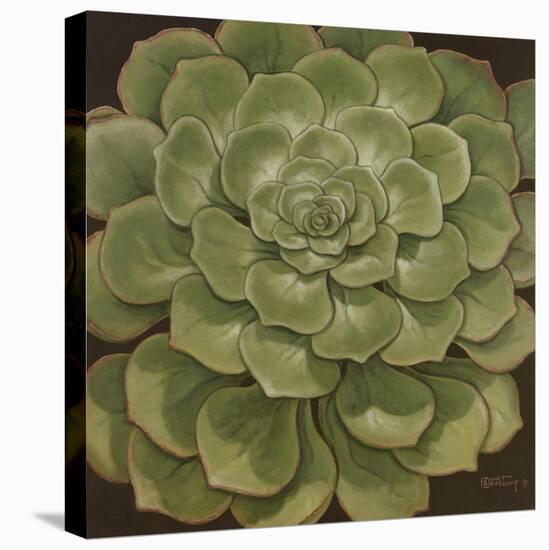 Succulent I-Janet Kruskamp-Stretched Canvas