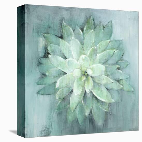 Succulent I-Art Marketing-Stretched Canvas